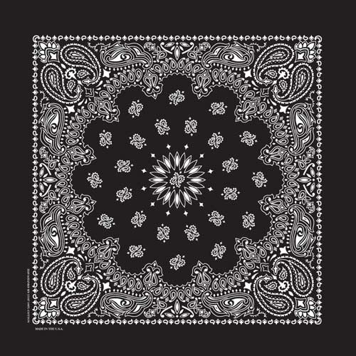 Bandana Paisley